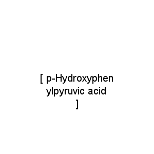 [ p-Hydroxyphenylpyruvic acid ]